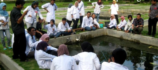 6 Universitas yang Memiliki Fakultas Perikanan di Indonesia